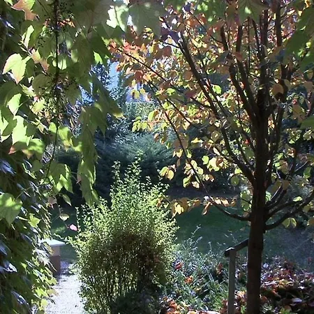 Wellness Joska * Mladá Boleslav